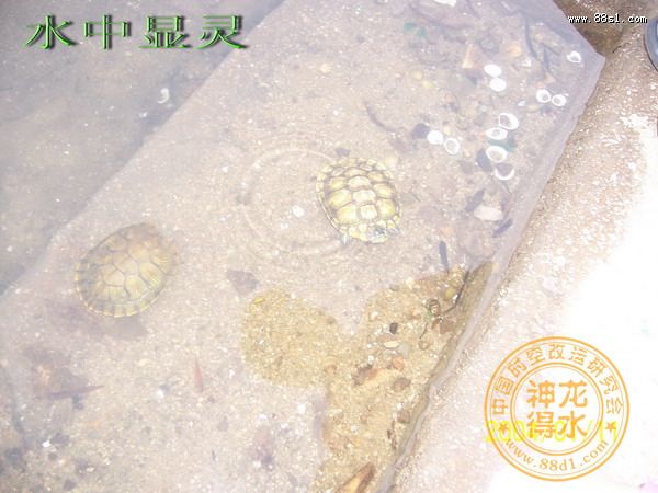 风水法师周钊正简介 风水法师周钊正简介