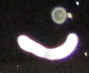 15.jpg